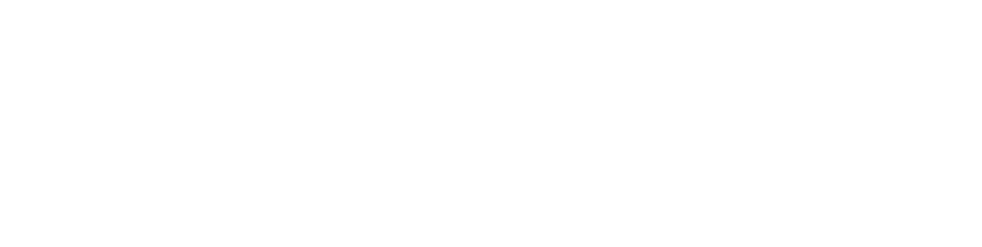 THE BALANCED LEADERSHIP Logo